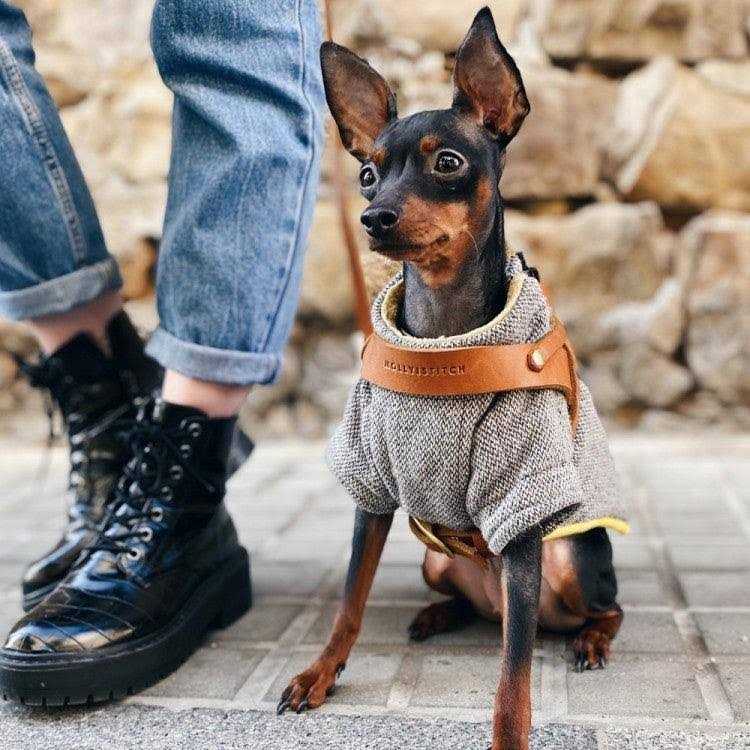 Leather Dog Harness Q318