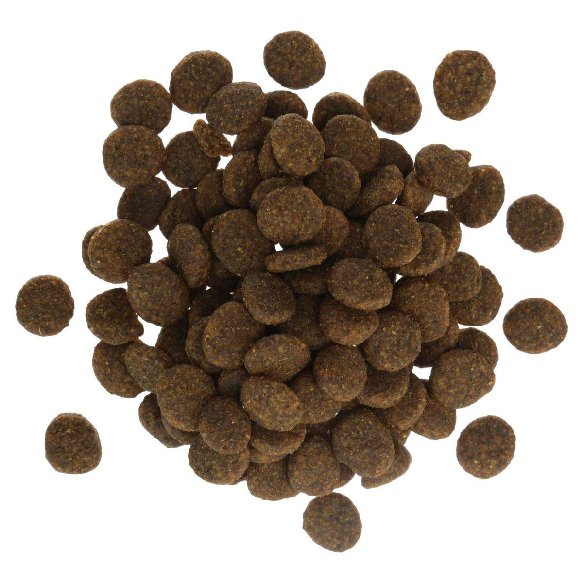 Salmon & Sweet Potato Recipe Dog Food J509630