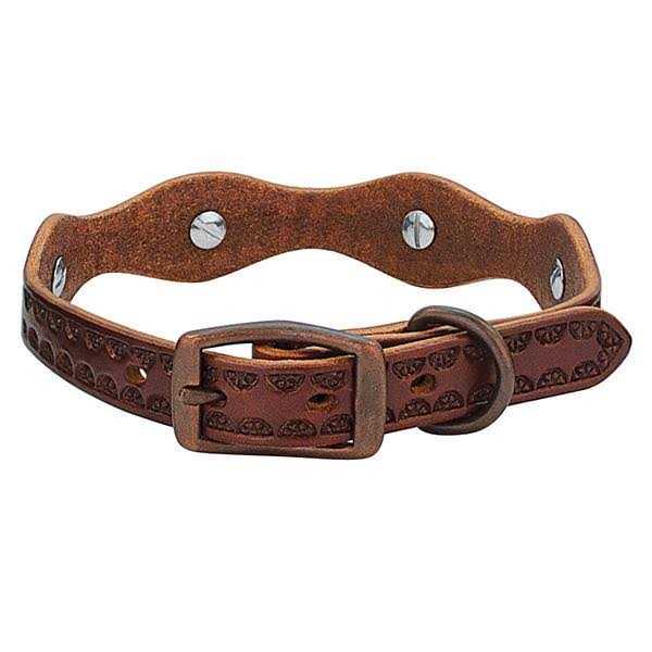 Dog Collar Leather K70363