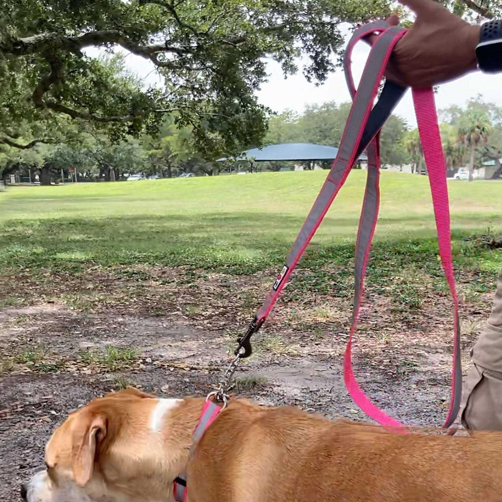 6 ft Solid Dog Leash I55543
