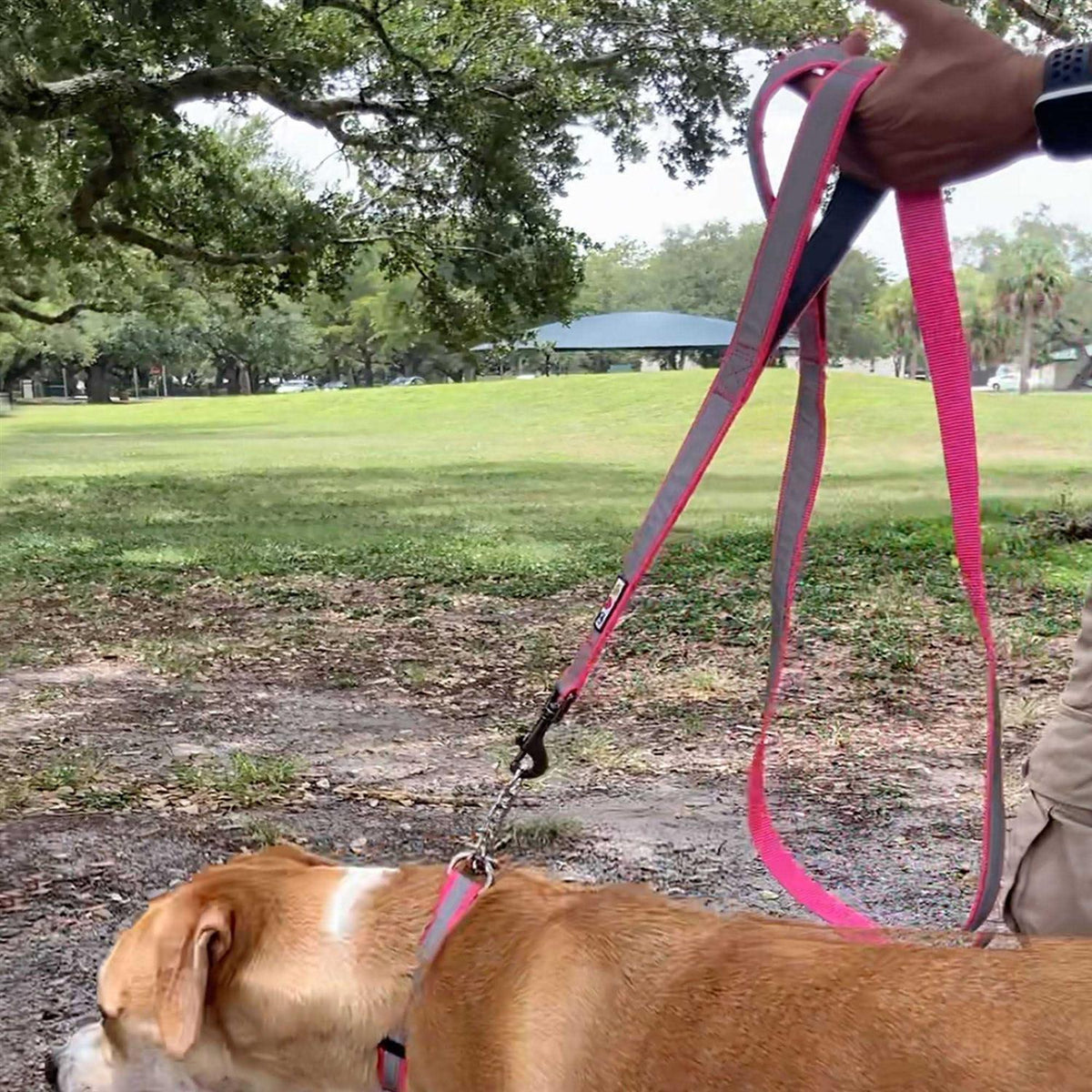 6 ft Solid Dog Leash I55543
