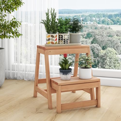 Wooden 2-Step Folding Step Stool M8743