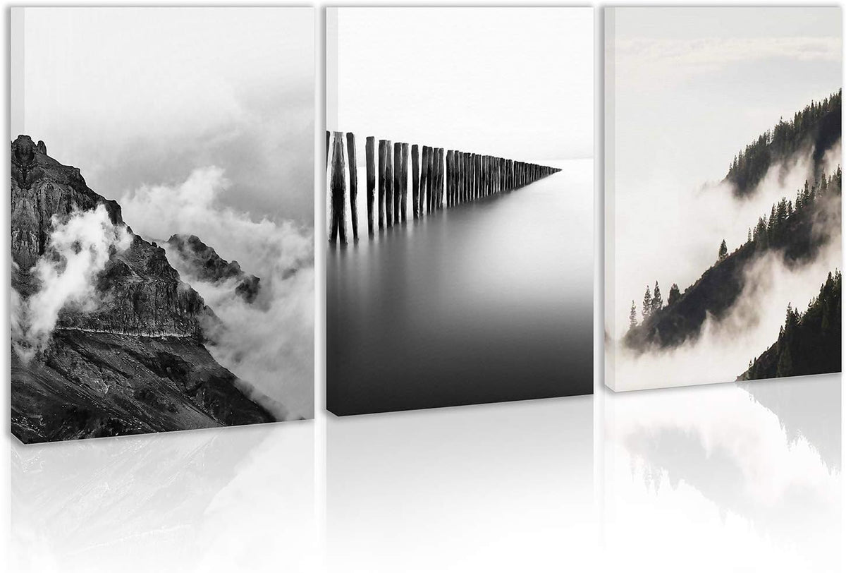 Black and White Canvas Wall Art T36552