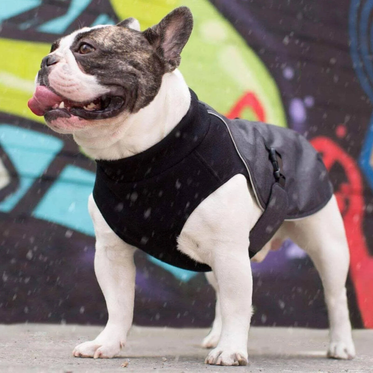 Charcoal Dog Coat G112126
