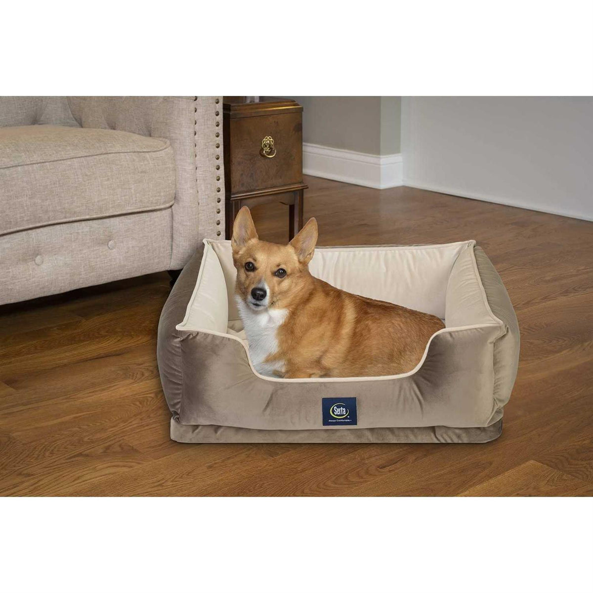 Pet Bed W944