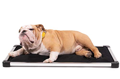 Chew Proof Padded Dog Crate Pad Mat, Small Size, Water Resistant, Sandstone A726