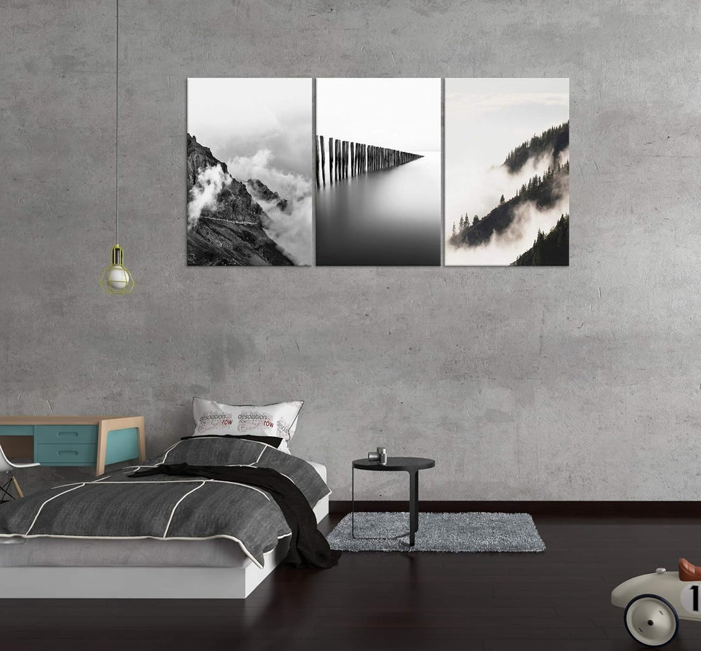 Black and White Canvas Wall Art T36552