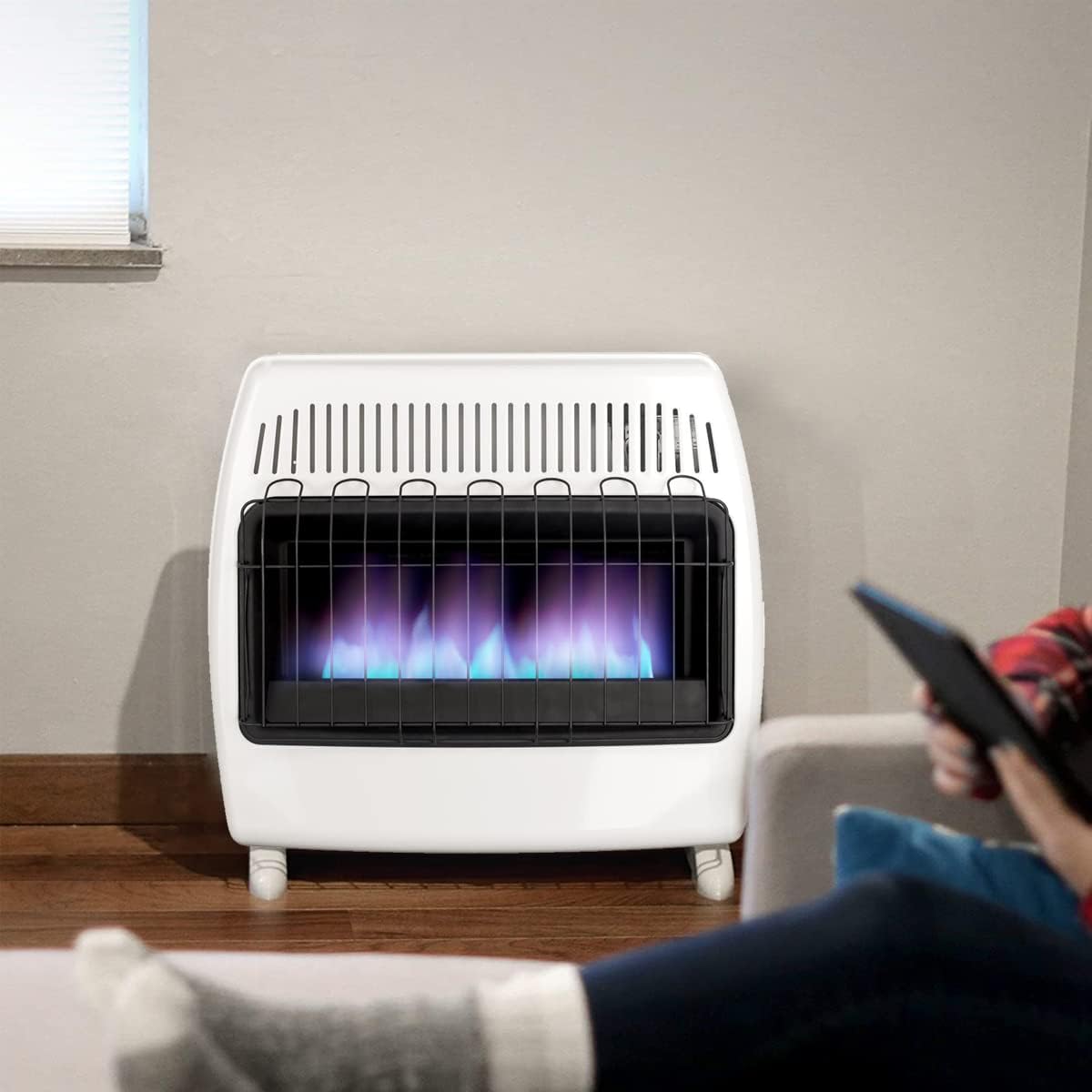 White Propane Natural Gas Wall Heater Q656670