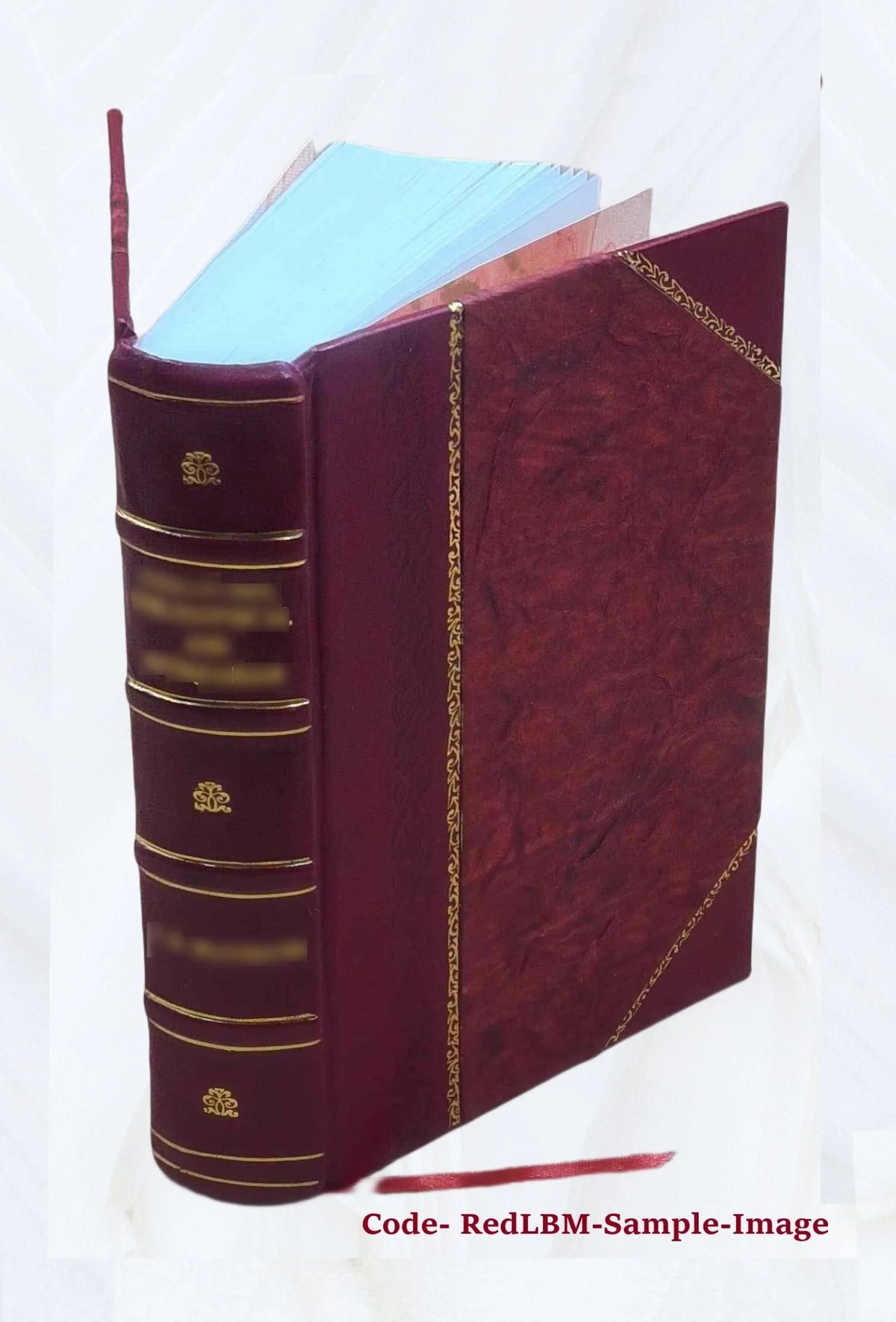 Leather Bound Bible M326