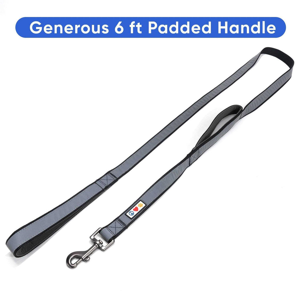 6 ft Solid Dog Leash I55543
