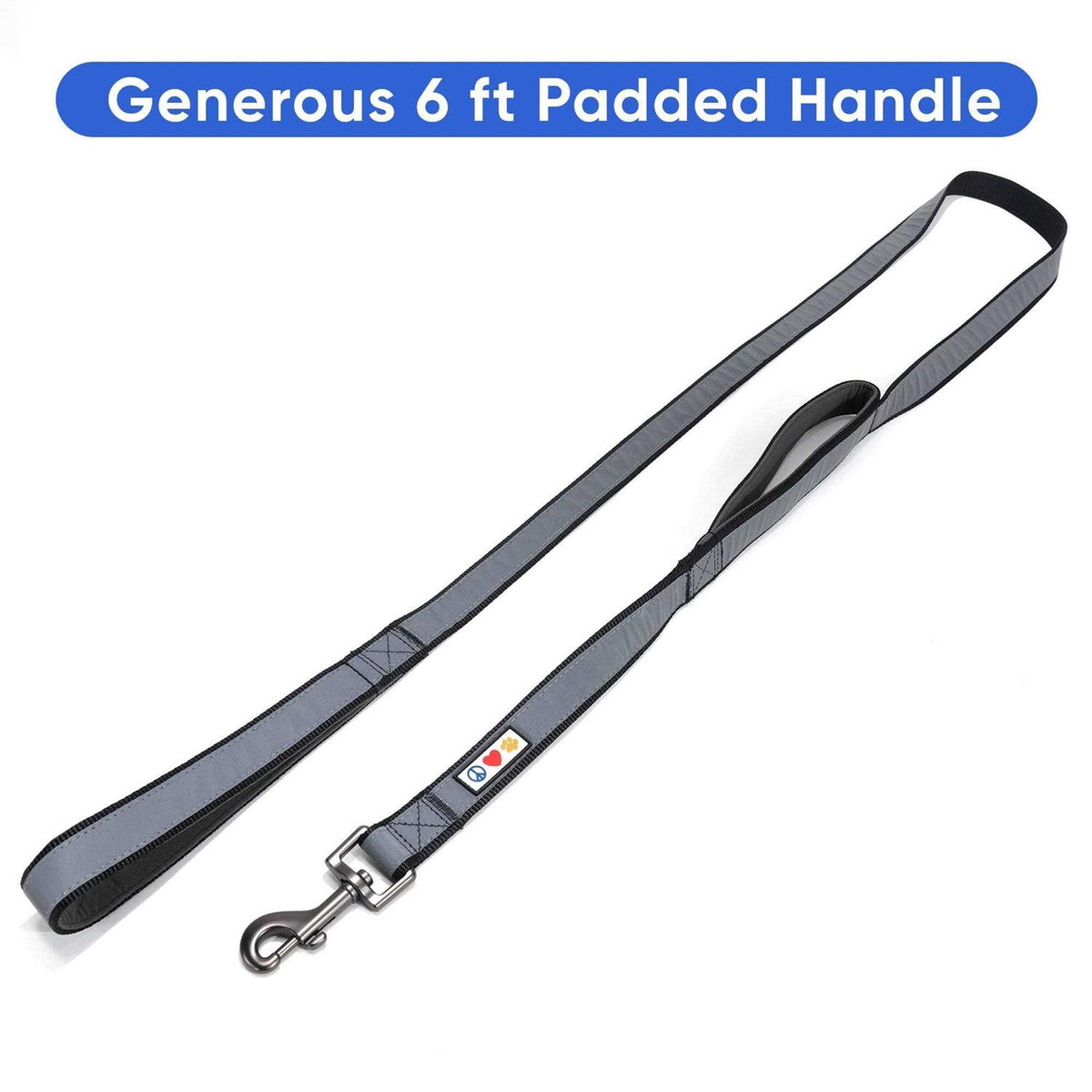 6 ft Solid Dog Leash I55543
