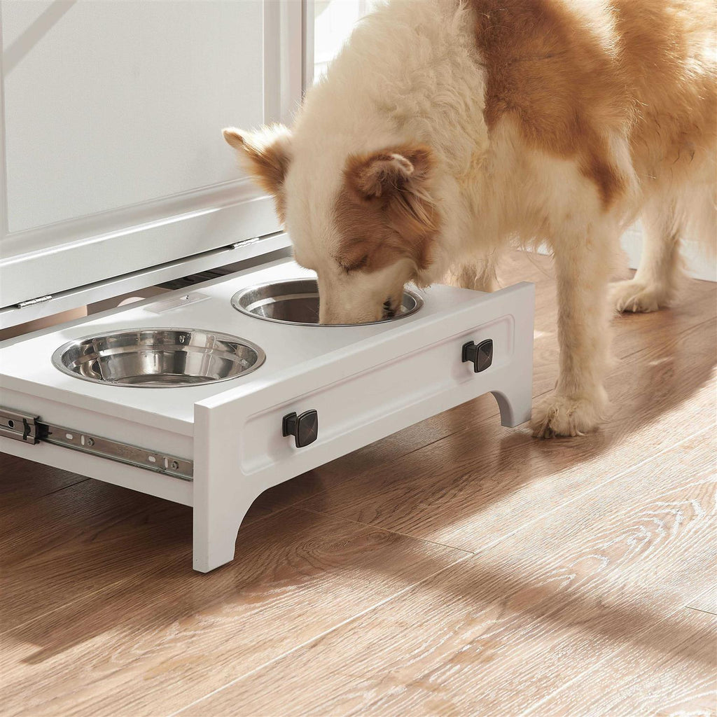 Modern Pet Feeding Station with 2 Elevated Dog Bowls Y104198