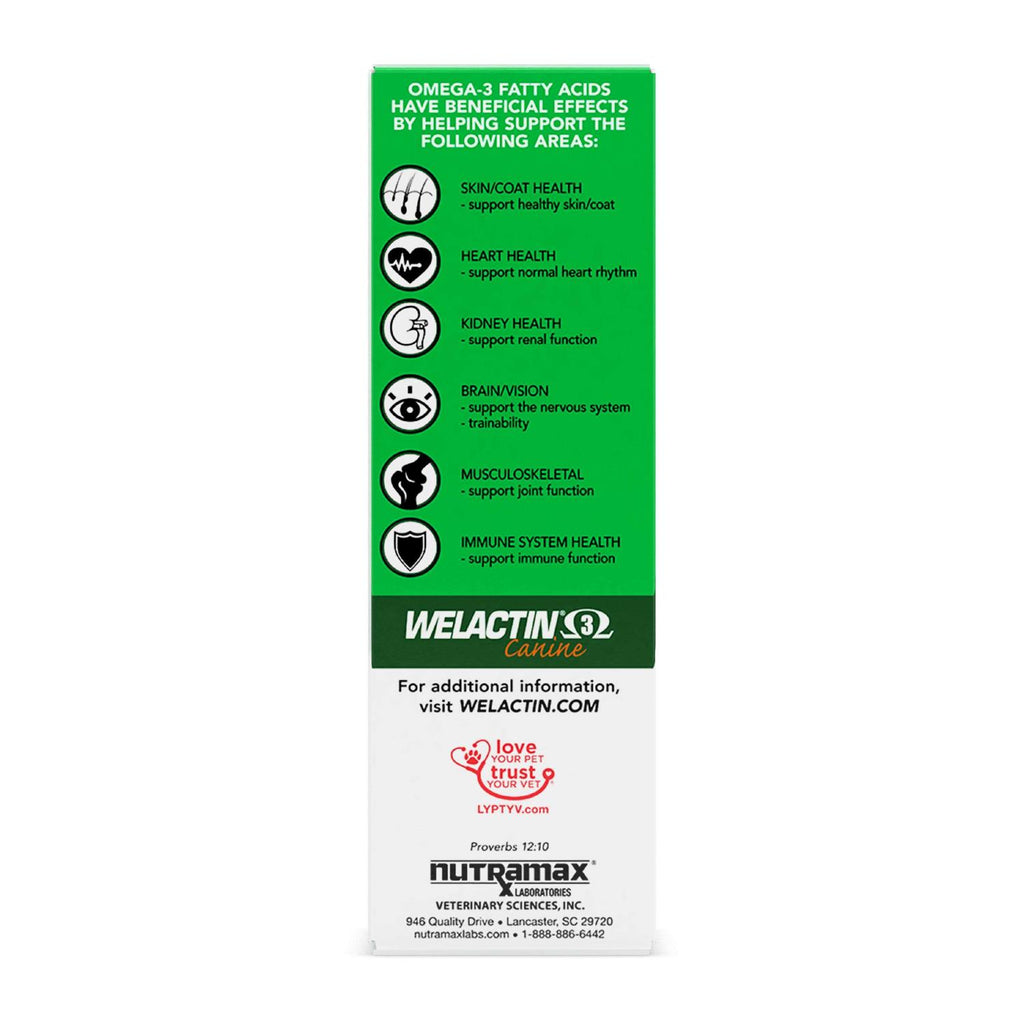 Omega-3 Liquid Skin Coat Supplement for Dogs X97680