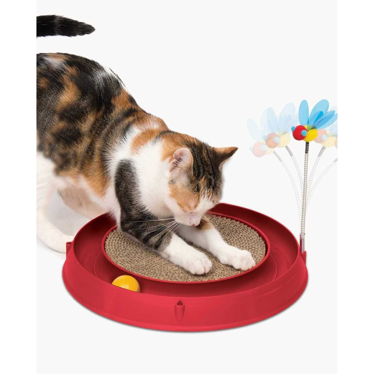 Circuit Ball Cat Toy P27193