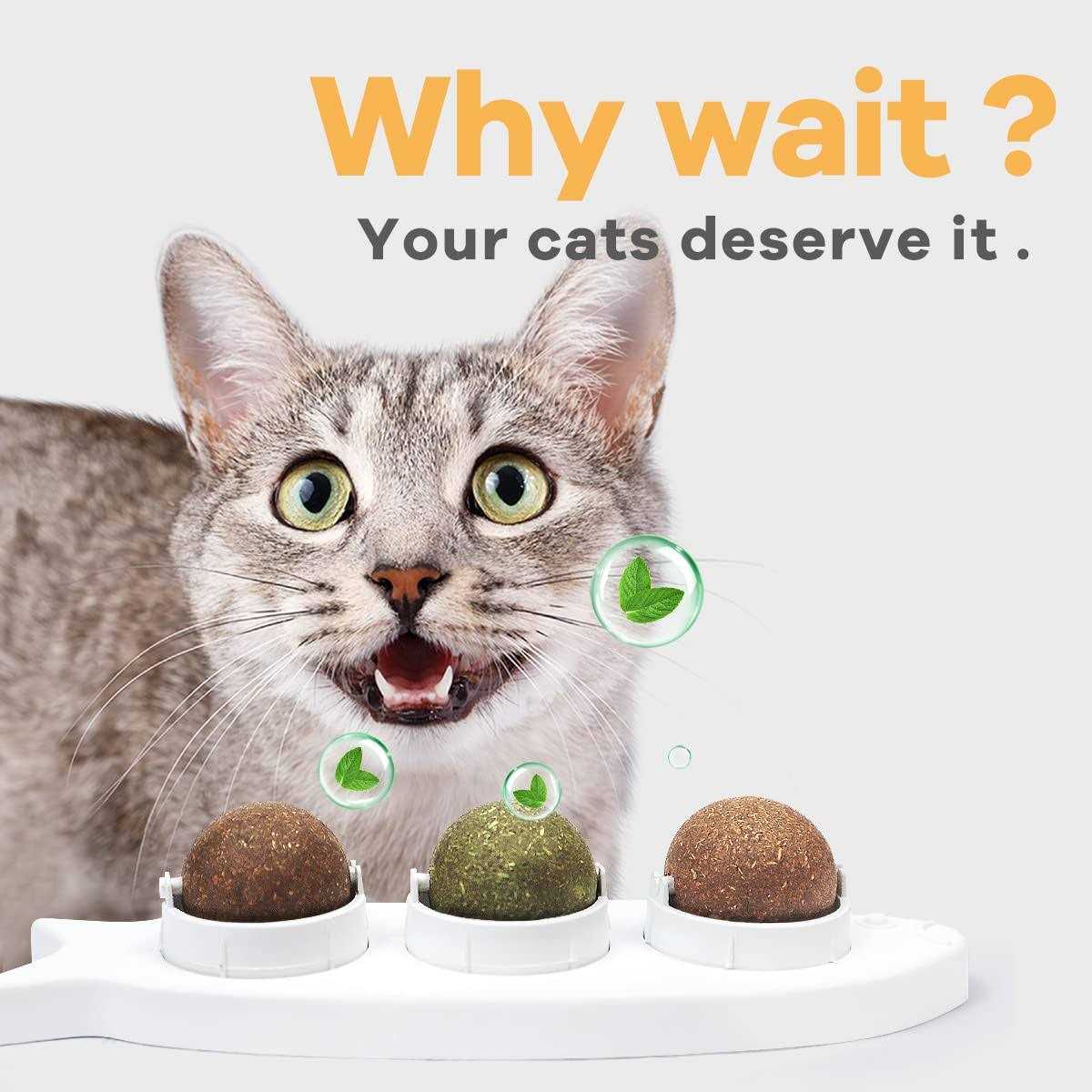 Catnip Wall Balls Toys for Cats P909