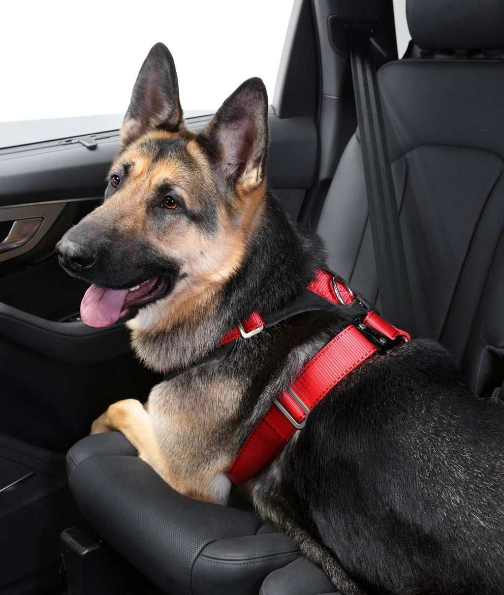 Comfort Safety Dog Harness F44944