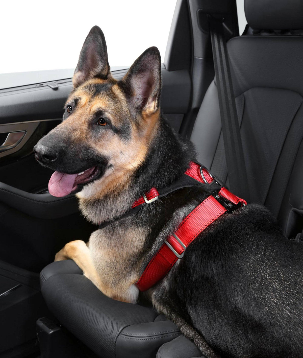 Comfort Safety Dog Harness F44944
