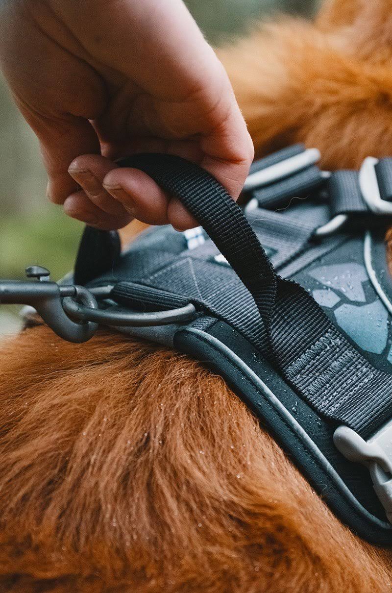 Weekend Warrior Harness Park Camo 32-39in I818977