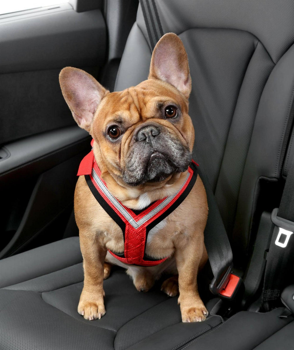 Comfort Safety Dog Harness F44944