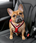 Comfort Safety Dog Harness F44944