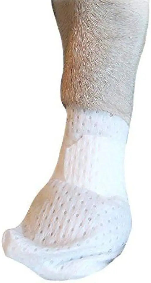 Paw Bandages for Dogs, Cats and Pets, 12 Pack (Large) U801779