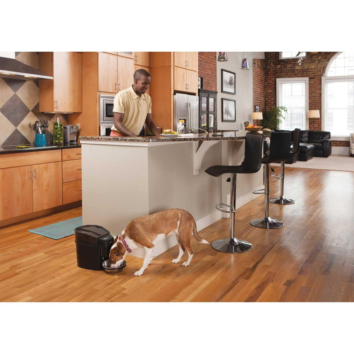 Automatic Pet Feeder S2077