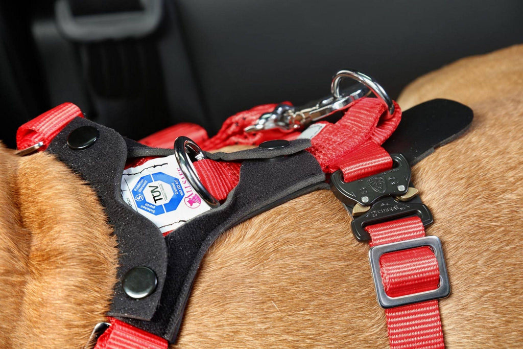 Comfort Safety Dog Harness F44944