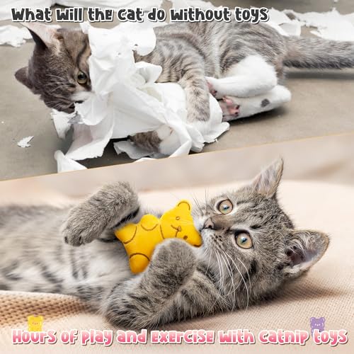5Pcs Catnip Cat Toys E6033