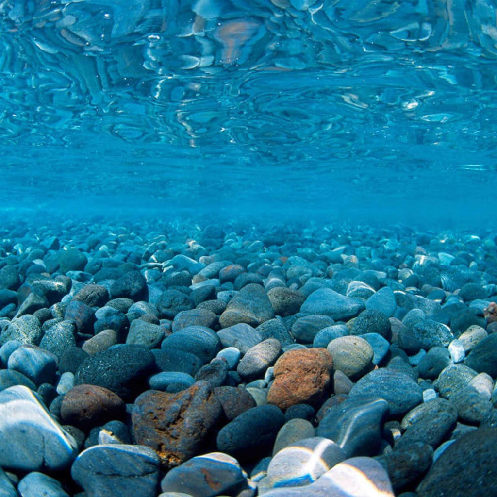 River Rock/Coral Bliss Background O92227