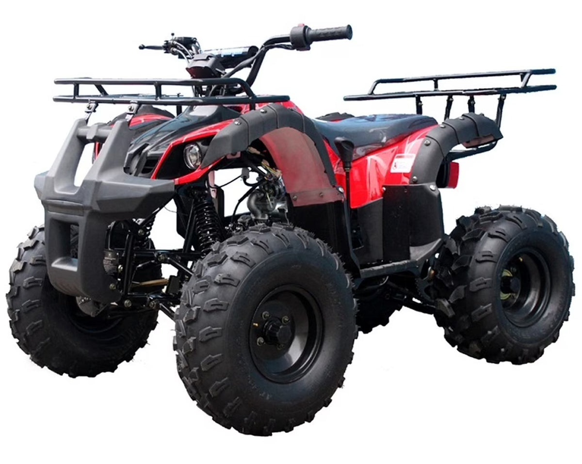 125CC ATV with Reverse and Big 19"/18" Tires F925820