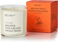 Scented Candle Orange & Ginger 10oz Soy Wax 50 hr Burn Time I9978