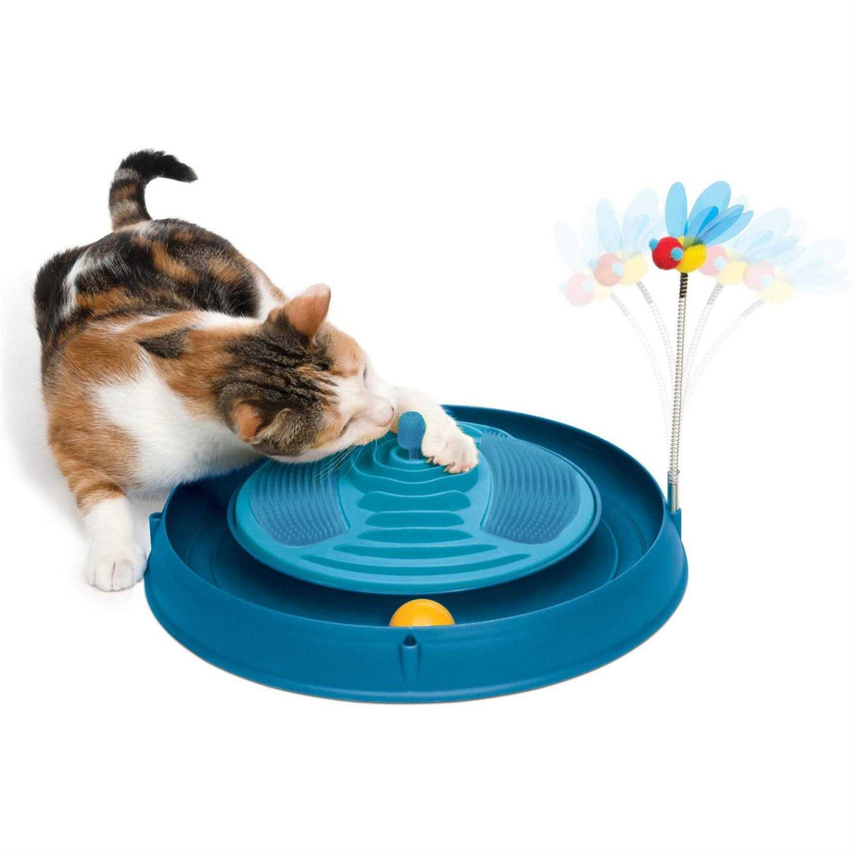 Circuit Ball Cat Toy P27193