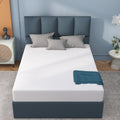 6'' Medium Firm Memory Foam Mattress T232366