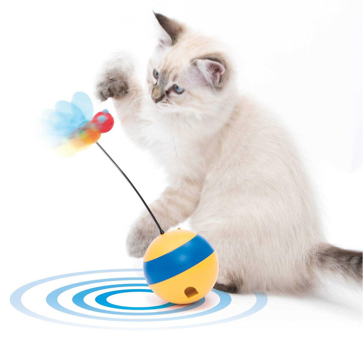 Interactive Cat Toy N190167