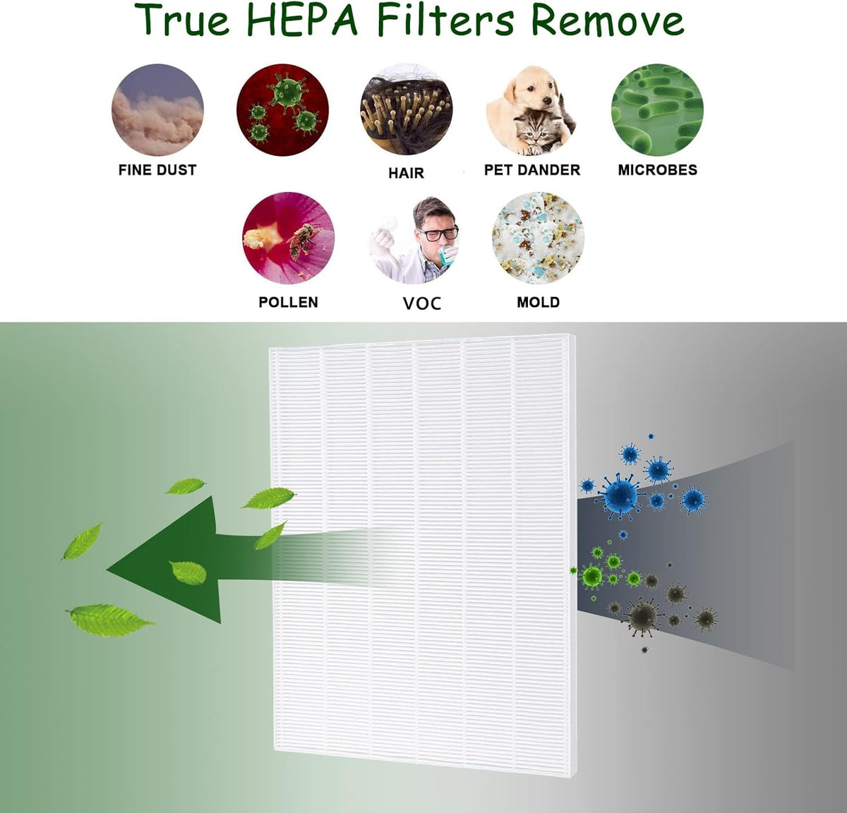 HEPA Replacement Filter 4 Pack T77484