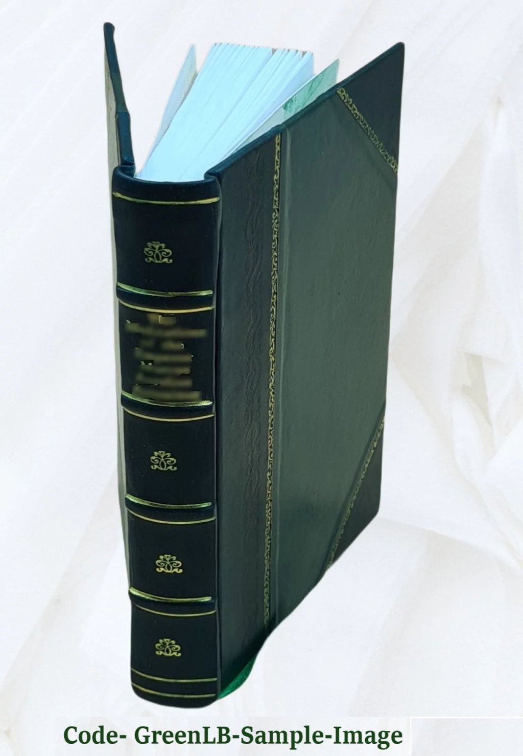Leather Bound E5175