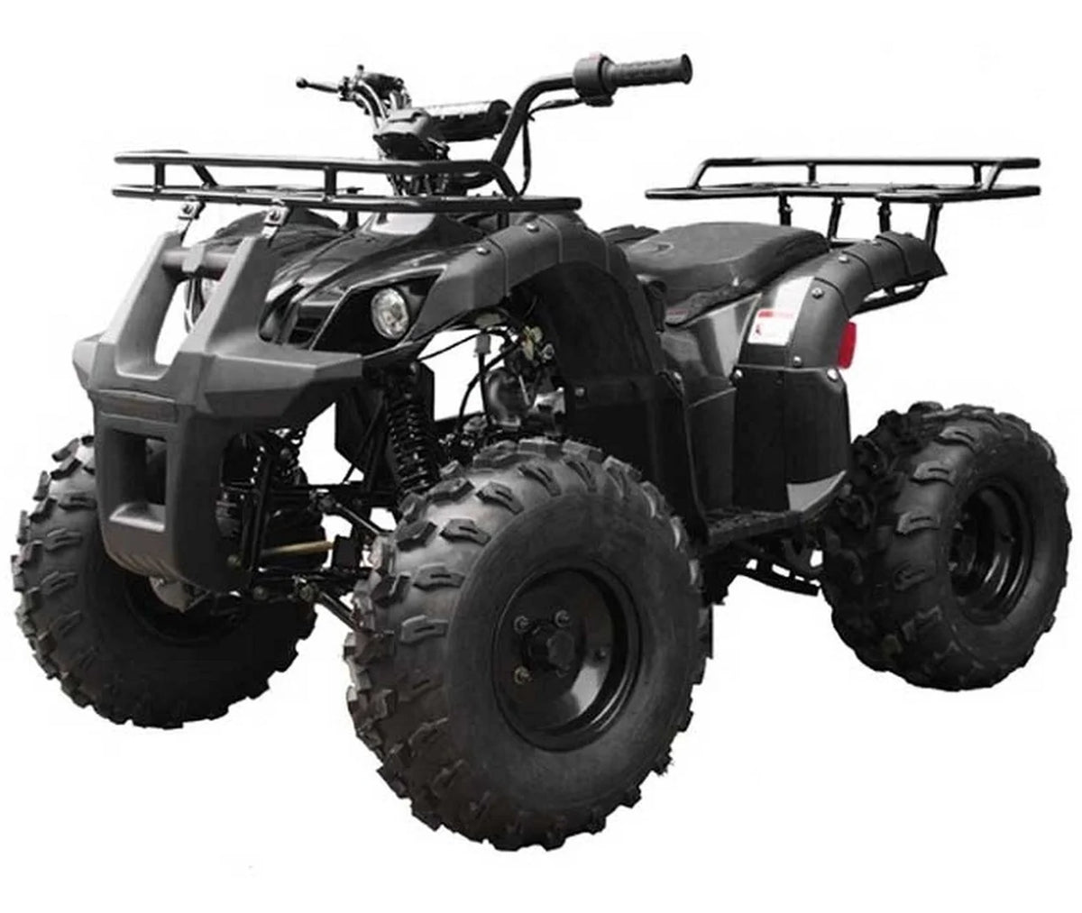125CC ATV with Reverse and Big 19"/18" Tires F925820
