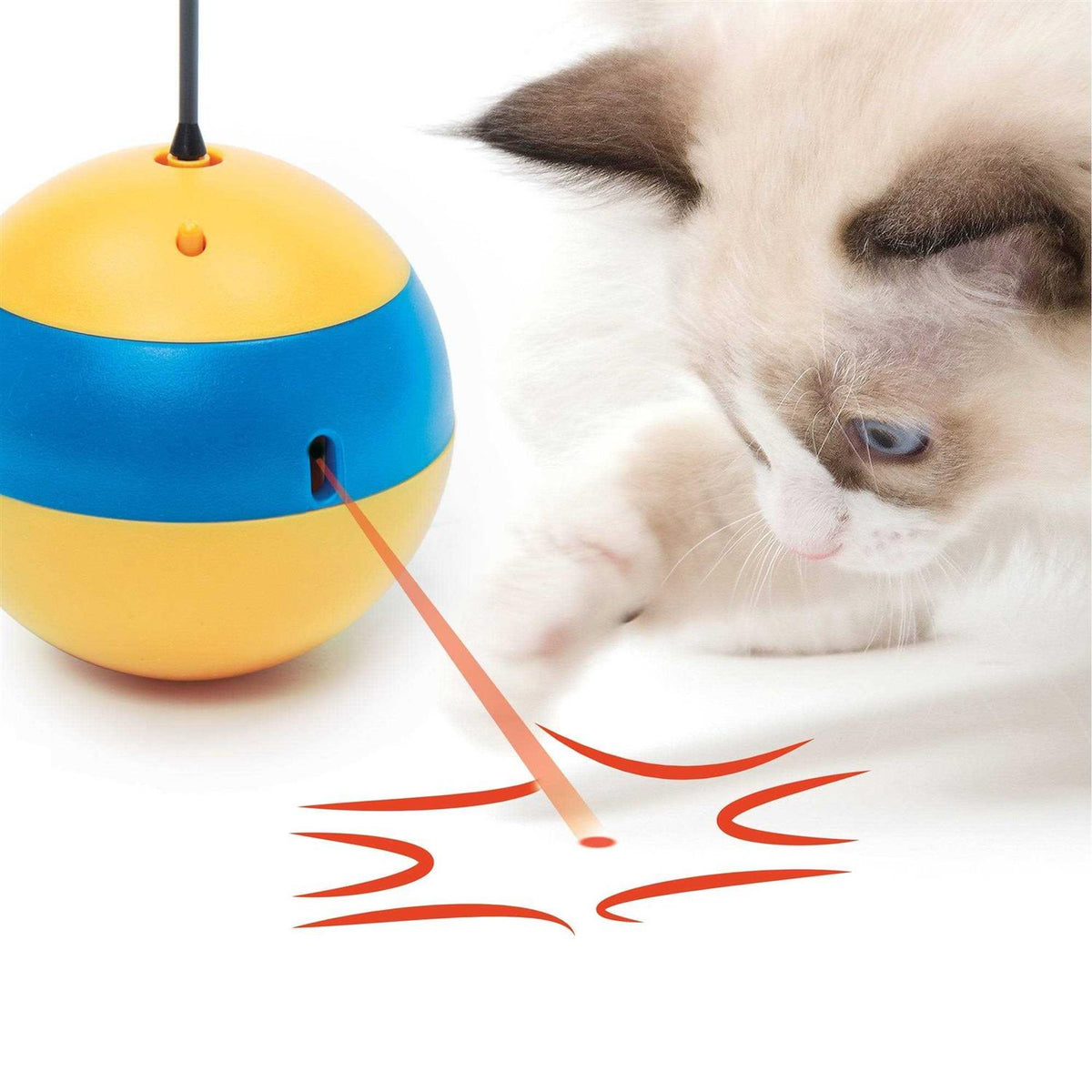 Interactive Cat Toy N190167